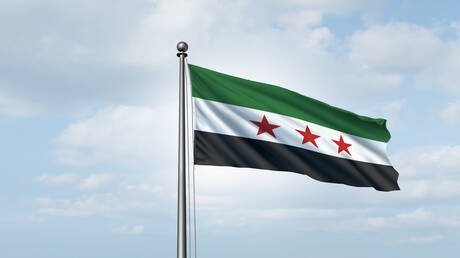 سوريا.. الزراعة تنفي انتشار الجراد في سهل الغاب