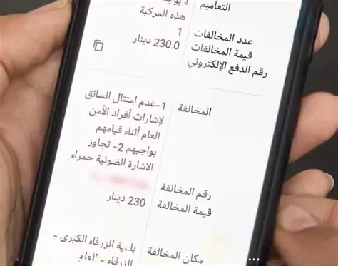 «الاقتصاد الرقمي» و«الأمن العام» تطلقان خدمة الإبلاغ عن المخالفات المرورية عبر «سند»