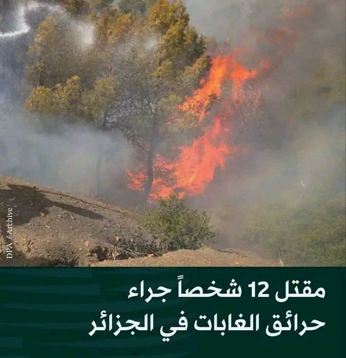 12 وفاة وعشرات الإصابات بحرايق غابات في الجزائر