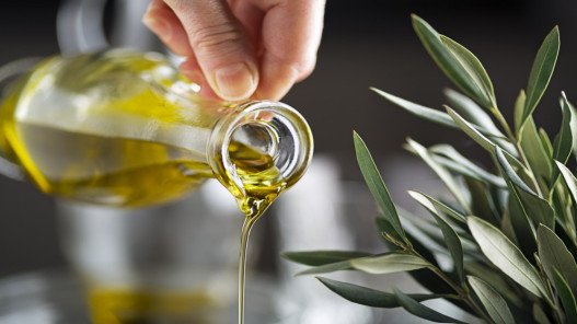 تمديد فترة التسجيل لمهرجان الزيتون الوطني حتى الثلاثاء